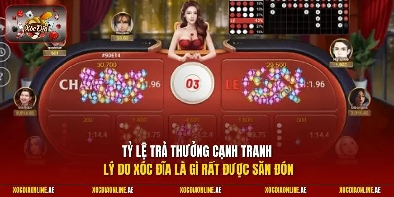 Tỷ lệ trả thưởng cạnh tranh lý do xóc đĩa là gì rất được săn đón